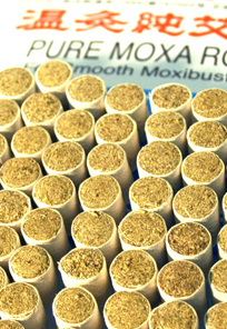 Moxa Kegel (Hütchen)
